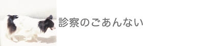 診察のご案内